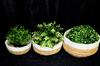 Baskets Set of 3 Seagrass Diameter 24/20.5/17cm