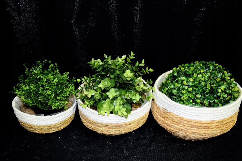 Baskets Set of 3 Seagrass Diameter 24/20.5/17cm