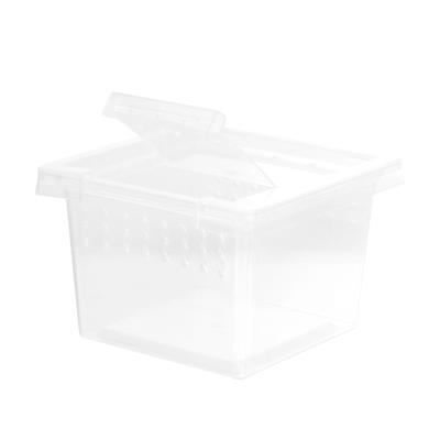 Mały Pająk Jaszczurka Farma Owad Oddychający Terrarium Przezroczyste Terrarium Gadów Plastikowe Zmontowane Akcesoria Dla Zwierząt