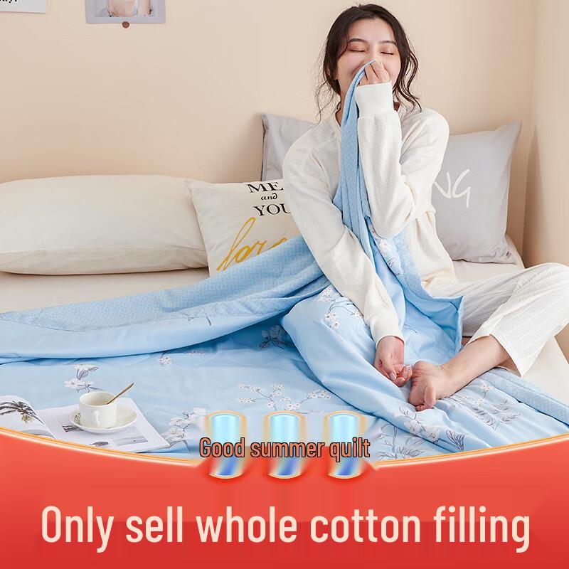 

Jieliya Brushed Cooling Lightweight Summer Quilt - Lilac Grass 150cm x 200cm