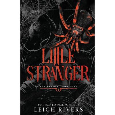 Little Stranger: A Dark Taboo Romance Paperback UKN2809