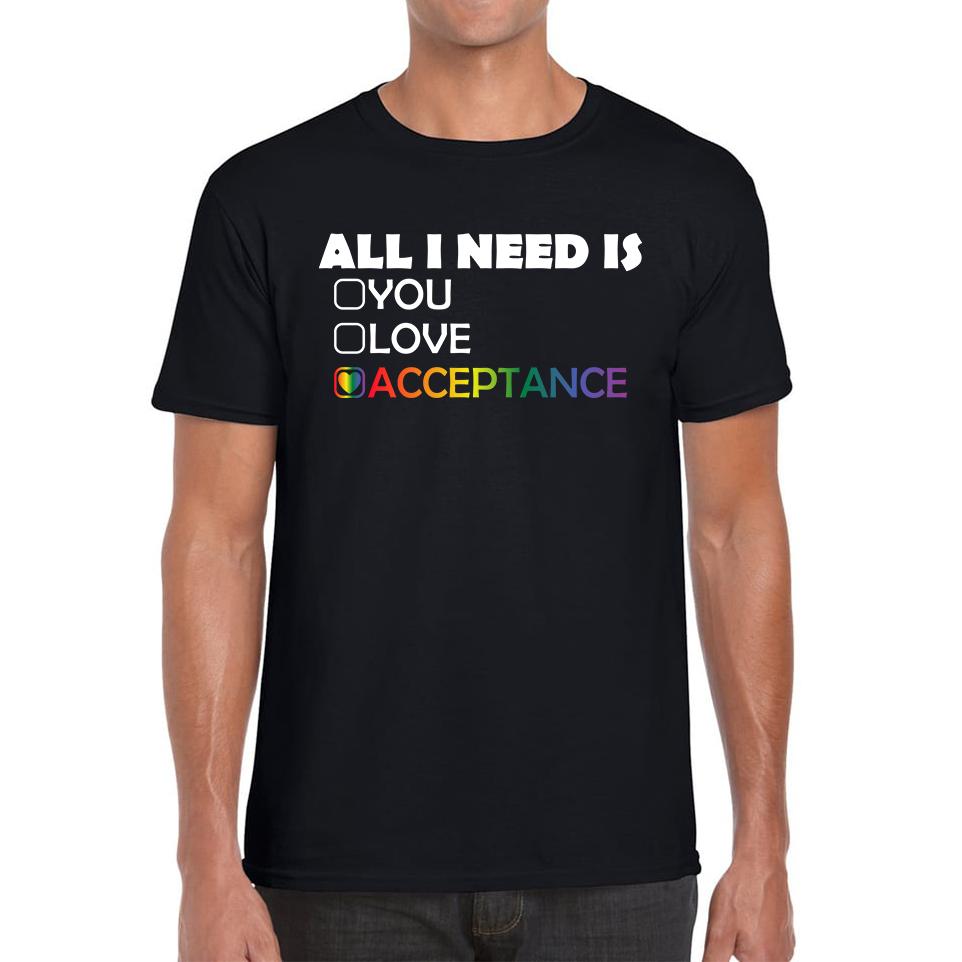 

All I Need Is Acceptance LGBT Gay Unisex Mens T Shirt Womens Tops Tees 2XL