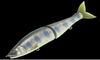 Gan Craft Jointed Claw 178 Floating Jointed Lure RF-02 (0659)
