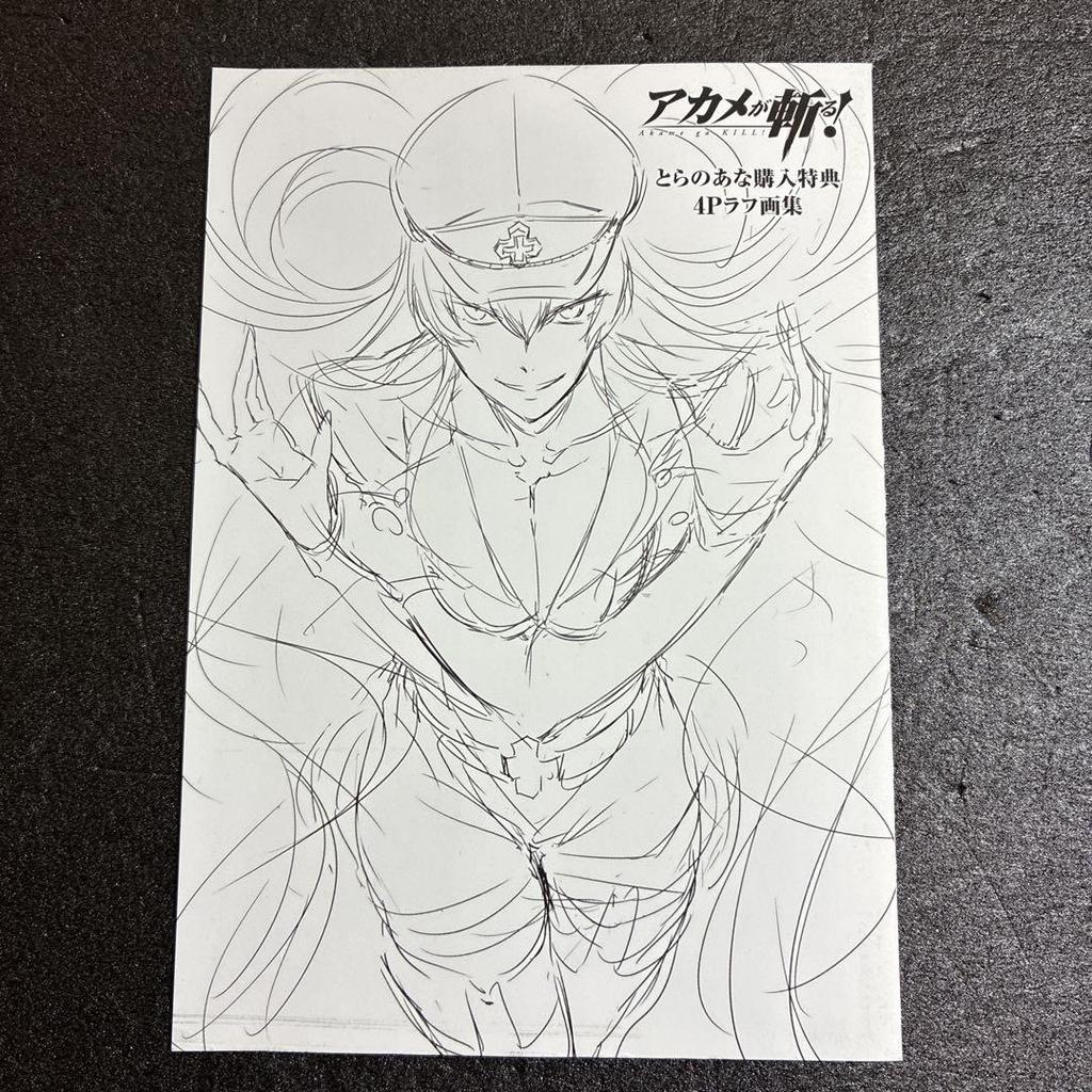 [USED] Akame ga Kill! Toranoana Purchase Bonus 4-page Rough Art Book Rare Esdeath
