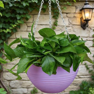 7Pcs Hanging Planters Flower Pots with Drainage Holes And Metal Chains Plastic Hanging Flowerpots for Indoor Outdoor Use