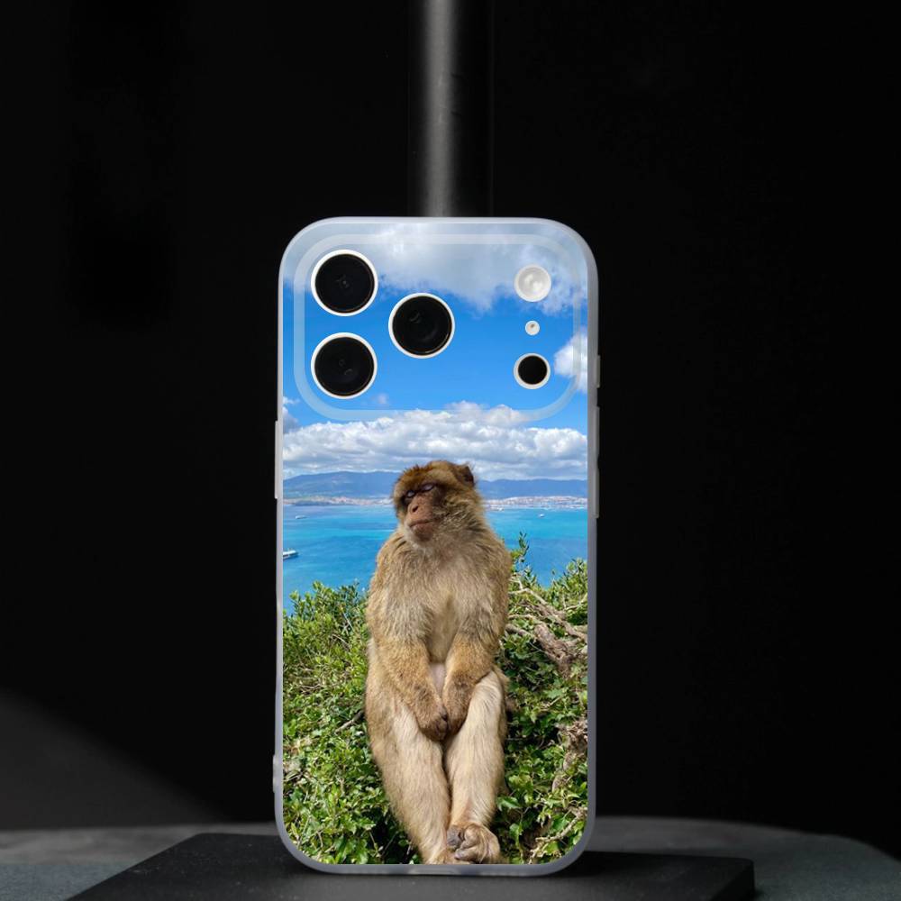 

Funny Cute Monkey For iPhone 17,16,15,14,13,12,11,Pro,Max,Plus,Mini,SE4,E Magnetic For Magsafe Wireless Phone Case iPhone16plus