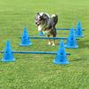 Durable Pet Training Set Portable Pets Jumping Bar Dogs Running Jumping Stakes  Hurdle Training