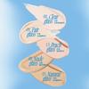 Cushion fwee Glass Natural Refill Puff 2P 15g