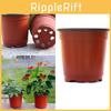 10/50/100 stk Plastplanteholder Blomsterpotter Med Balanserte Dreneringsegenskaper**