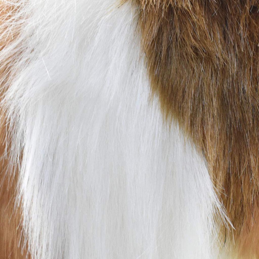 BH4219 HANSA Shetland Sheepdog 40