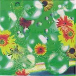 

CD CHITTA - Nature s Way PRF1093 Japan Music Others Used