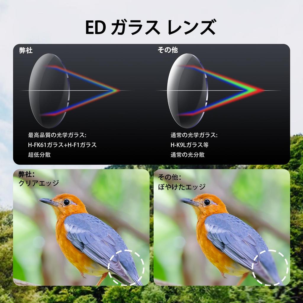 SVBONY SV202 Upgraded Binoculars, High Magnification, 8x Magnification, 42mm Aperture, 8.12° Field of View, IPX7 Waterproof, Anti-Fog, ED Glass,