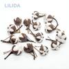 12 Artificial Kapok Natural Dried Flowers Simulation Cotton Wedding Room Easter Decoration Supplies DIY Wreath Bouquet Gift Box