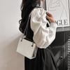 Chic Casual Crossbody Bag 2023 Summer Stylish Trendy Large Capacity Tote Bag For Women