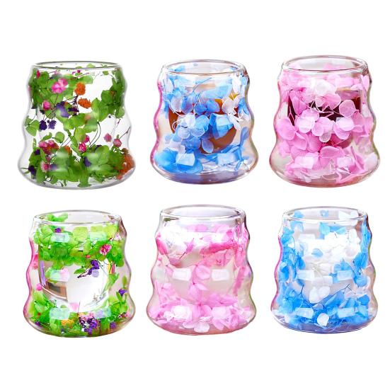 Dried Flowers Insulated Coffee Mug Double Wall Clear Glass Heat Resistant Tea Cup for Water