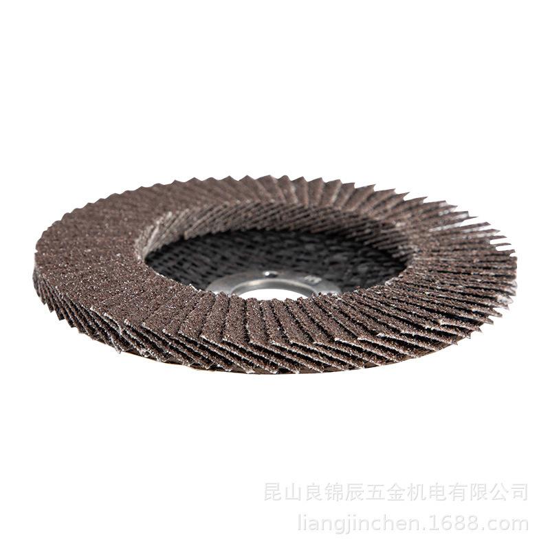 Deli Tools Grinding & Polishing Angle Grinder Disc for Woodworking & Stainless Steel (DL66021)