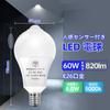 Pispoer Miawasegata E17 E17 LED bulb only Variable socket Light bulb with motion infrared automatic 60W type equivalent fixture set set of - - -