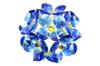 Navire Compact Crystal Hydrangea Figurine