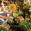 Double Sided Bee Wind Spinner Anti-Rust Metal Garden Stake Sunflower Motion Art Wind  Yard Ornament