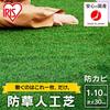 [No Weed Control Sheet Required] Iris Ohyama Domestic Weed Control Artificial Grass 1m X 10m Integrated Weed Control Sheet Grass Height 3cm Comes with