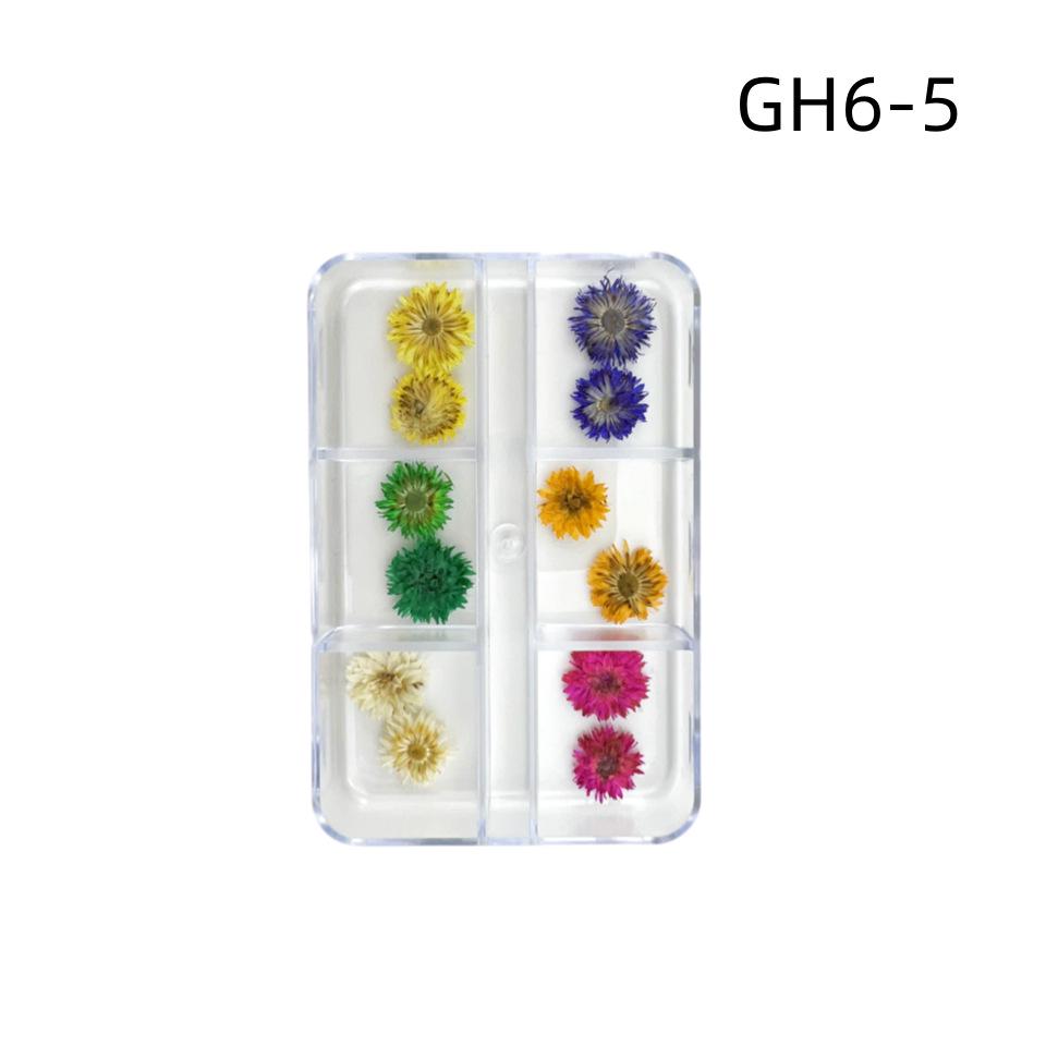 6-Grid Natural Dried Flowers for Nail Art - Japanese Style Sunflower & Baby's Breath DIY Decorations