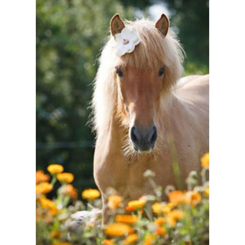 Neue 5D DIY Landschaft Diamant Malerei Pferd Diamant Stickerei Tier Kreuz Stich Volle Runde Bohrer Wohnkultur Manuelle Geschenk