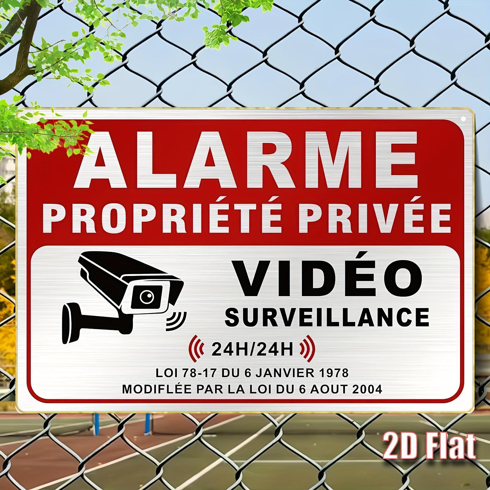 Hisun Tin Sign HD Tin Sign French Video Surveillance Alarm Wall Decor H Private Property Security Metal Poster for Home Business 20x30