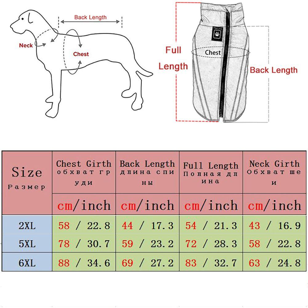 measuring a dog for clothes