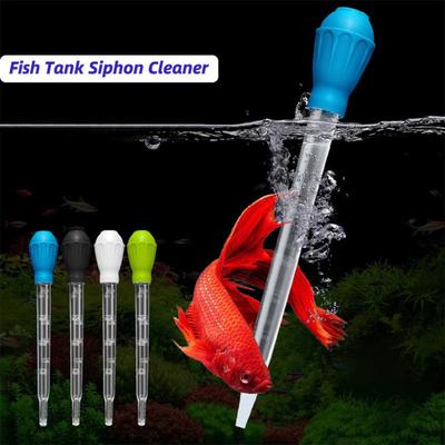 Fische & Meerestiere – Aquarienpflege