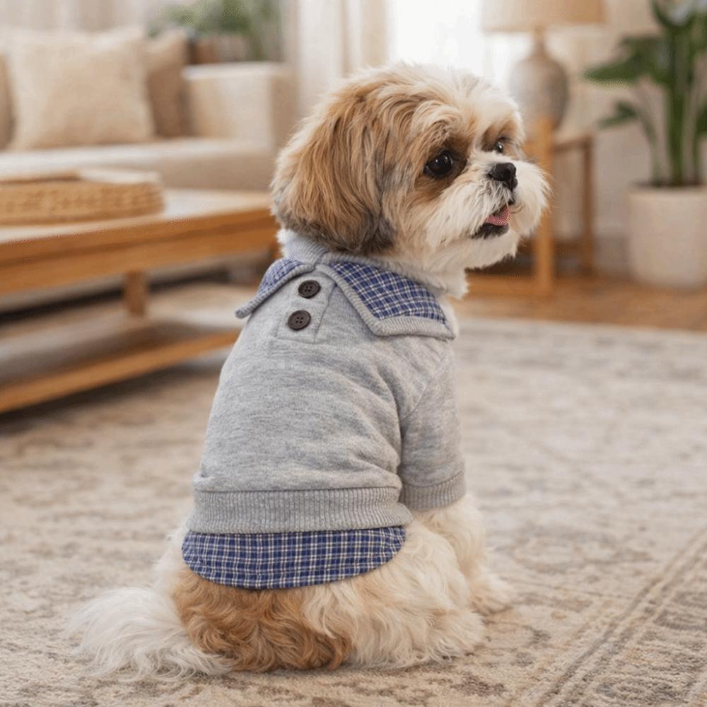 Soft Pet Dog Hoodie Preppy Style Two Legs Dog Clothes Casual Style Dog Pullover Outdoor Activities