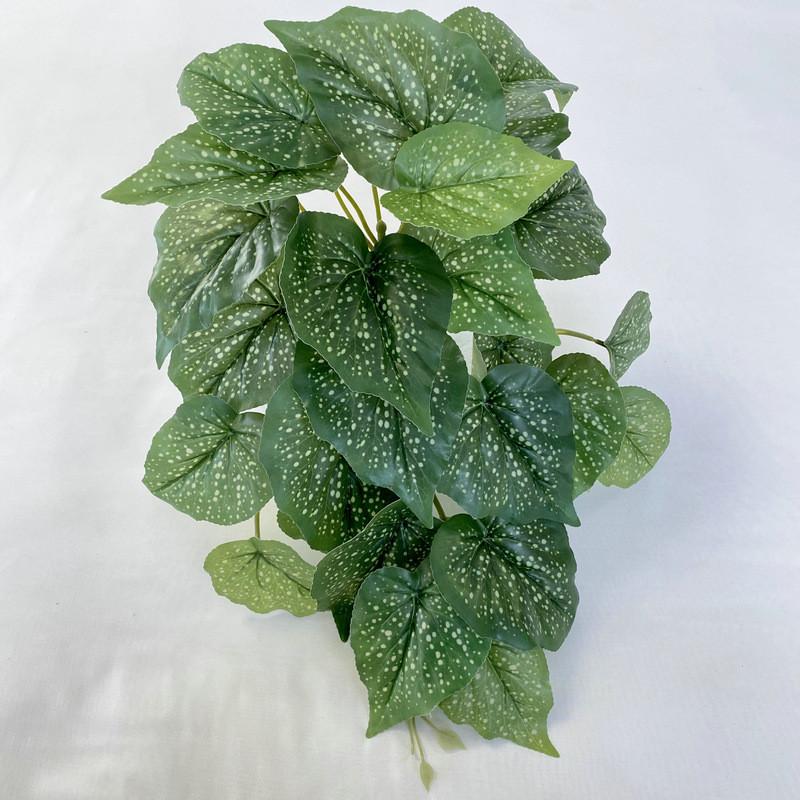 

Begonia Printed 3d Wall Mounted Plant For Wedding Props And Styling Home White Dot