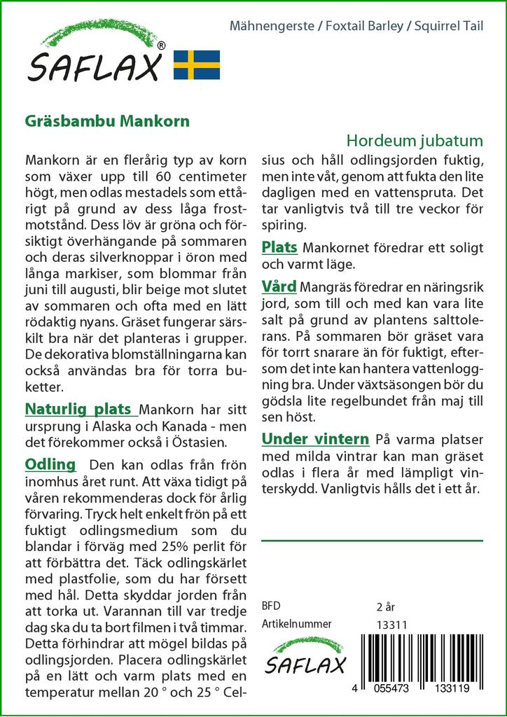 SAFLAX Garden in the Bag - Coada de vulpe Orz / Coada de veverita - 70 de seminte - Cu substrat intr-o punga potrivita - Hordeum jubatum