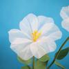 Artificial Fake Flowers Shooting Props Gauze Flowers Simulated Morning Glories  Home Garden Decor