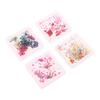 1Box Nail Art Flower Decoration Delicate 3D Dried Flower Nail Charms Art Stickers Nail Art Beauty For Charms Accessories