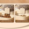 Automatic Pet Water Dispenser with Water Fountain Pet Automatic Feeder  Pet Kitten Bowl Accessories