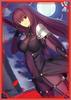 Card Sleeve FateGrand Order Scathach [Hand Protectorillust: Kauto]