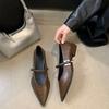 Fashion New Style Women's Spring Autumn Pointed Toe Women Pumps Fashion Shallow Low Heel Shoes Ladies Street Style Mary Jane Shoes