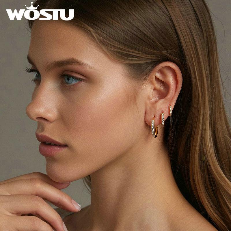 WOSTU 925 Sterling Silver Simple Zircon Round Hoop Earrings for Women European Classical Rock Hoops Wedding Jewelry Accessories