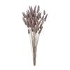 Tokyodo Dried Flower Lagrass Approximately L50cm 15g FD042050-201