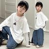 Boys' Trendy Hip-Hop Sweatshirt 2025: Autumn Style, Long-Sleeve Fake Two-Piece for Small and Medium Kids
