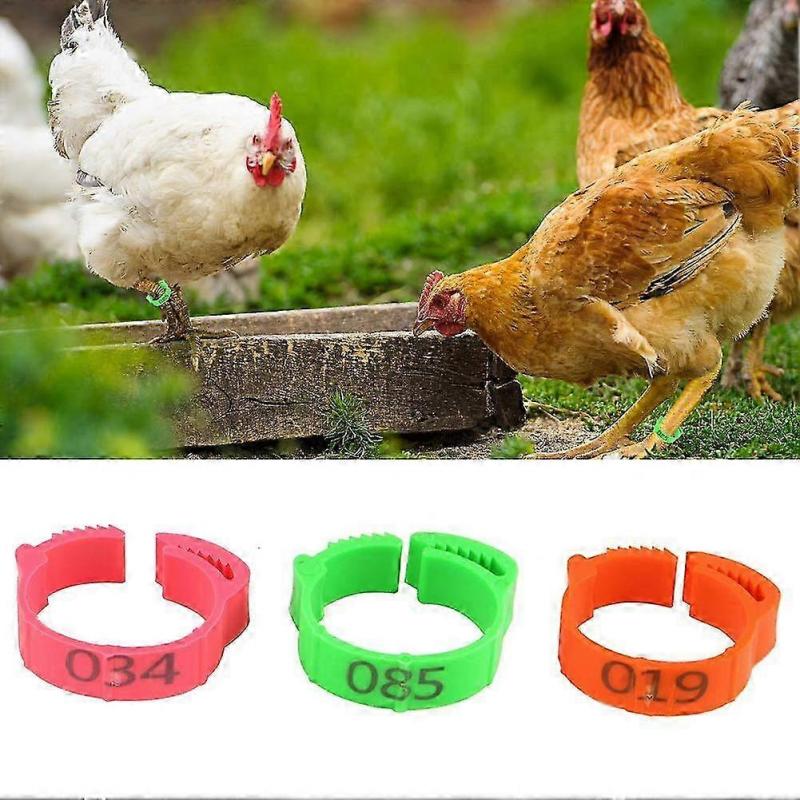 100pcs Adjustable Chicken Leg Rings Poultry Number Tags Duck Supplies Green
