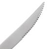 Stainless Steel Serrated Steak and Burger Knives 23cm 2-Pack