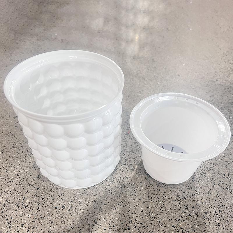 Mini Kendiliğinden Sulama Saksısı Balık Tankı Şeffaf Plastik Bitki Saksıları Kendiliğinden Sulama Saksısı Vazo Ev Dekorasyonu İçin