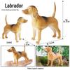 Cross-Border Animal Toy Set: Sheep, Cow, Horse, Donkey, Goat, Poultry Plastic Models