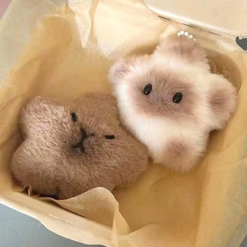 Capybara păpușă de pluș Star Screak Toy Cartoon Star Breloc Pandantiv Moale Umplut Papusa Rucsac Geanta Mașină Breloc Decor Cadouri pentru copii