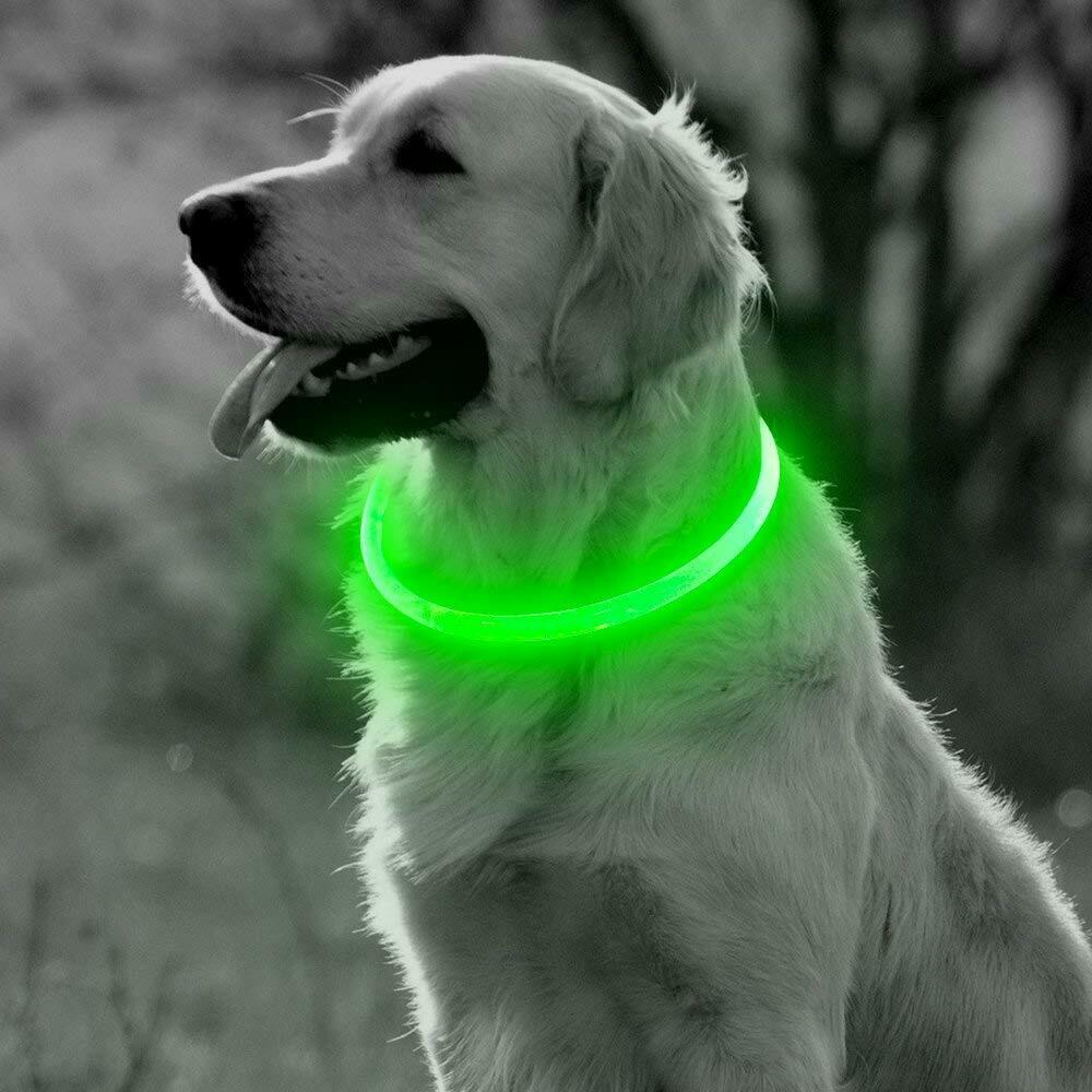 Led Glowing Dog Collar 3/Light Modes Luminous Night Charge Light 50Cm Prevention Pet Rechargea Safety Flashing Glow Dc5V Usb Red