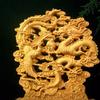 Wood Carving  Dragon, Phoenix Decorative Statue Chinese Mascot Mythical Beast Home and Office Decoration Ornaments