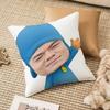 PPark JJinYYoung Funny Meme Pillow Case Antidustmite Invisible Zipper Sofa Bed