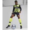 Puma Manchester City 24 25 Away Jersey Replica