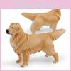 Lifelike Plastic Dog Statues Collection Including Golden Retriever Corgi Shiba Inu And Teddy Bear
